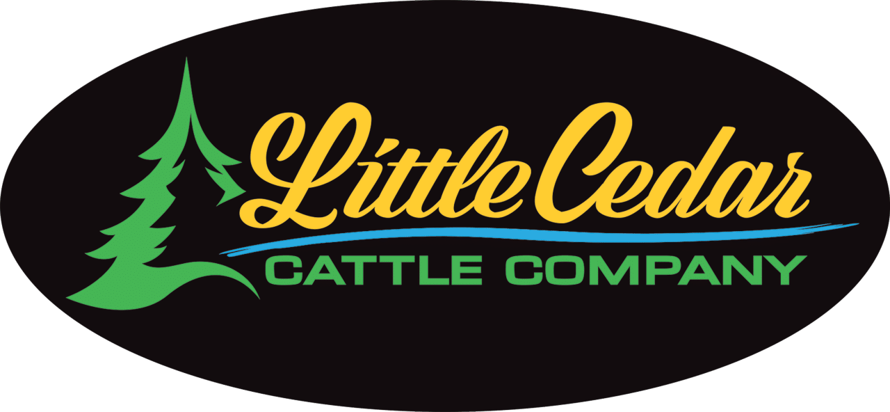 Little Cedar Cattle Company Red White and Roan
