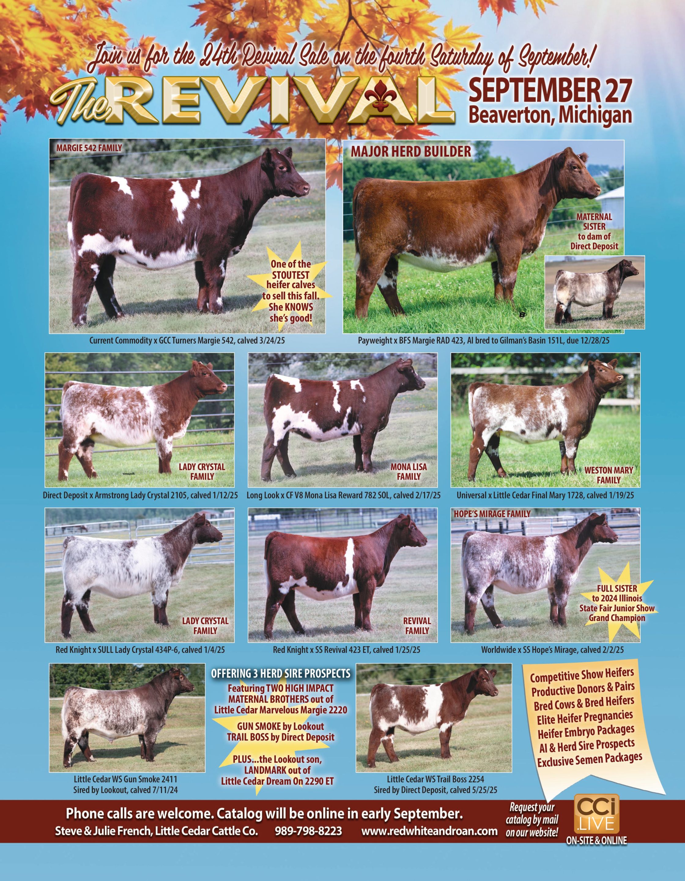 The Revival August Sale