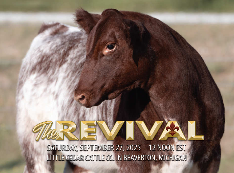 The Revival 2025 Sale Catalog Cover The Revival August Sale