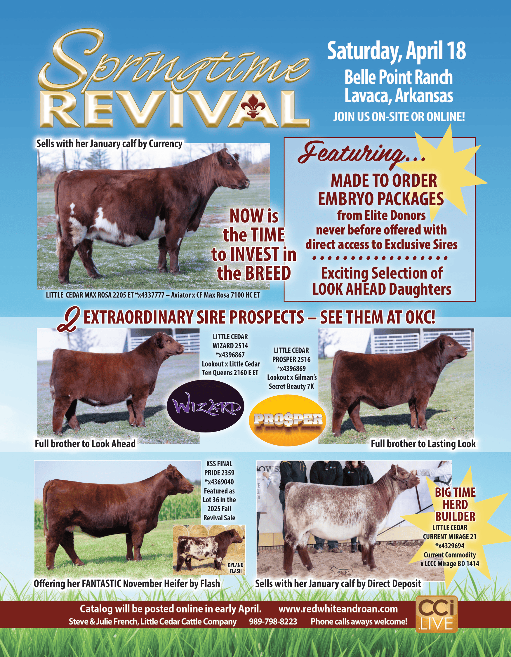 Springtime Revival Jan 2026