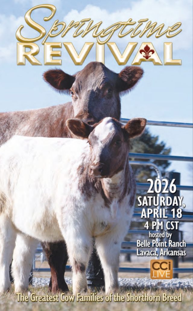 Springtime Revival 2026 Catalog Springtime Revival 2026 Catalog