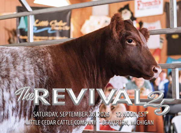 Springtime Revival 2026 Catalog